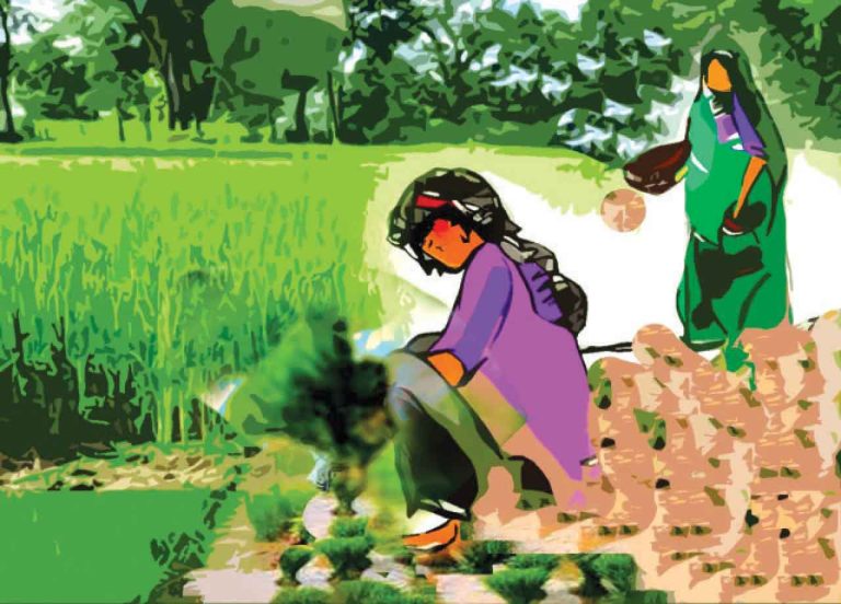 काहें बिसरा गांव : धान की रोपाई और मस्त मगन कका
