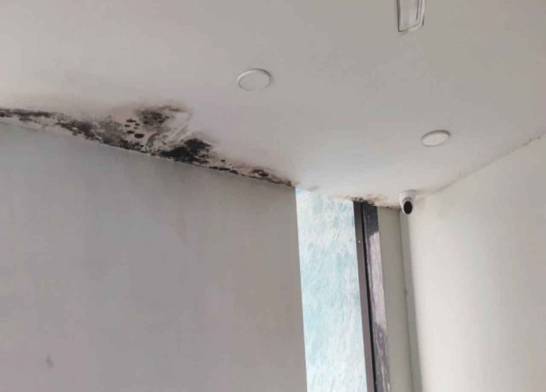 भ्रष्टाचार की भेंट चढ़ी लाइब्रेरी! …दीवारों से टपकने लगा पानी … फडणवीस ने किया था २ साल पहले उद्घाटन