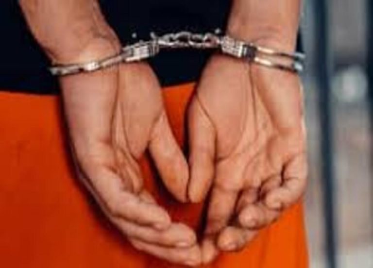 पुलिस के हत्थे चढ़े मोबाइल चोर…59 मोबाइल बरामद…3 गिरफ्तार