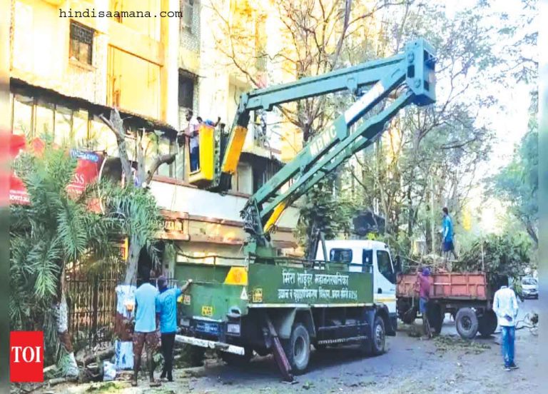 विकास के नाम पर मीरा रोड में ५४ पेड़ों की कटाई! …पर्यावरण प्रेमियों में फैला आक्रोश